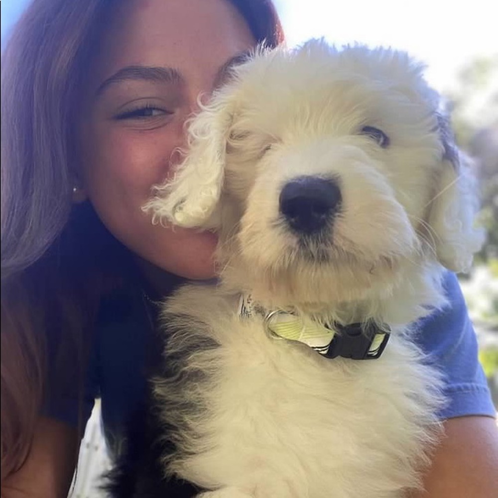 Meet your Posher, Emily